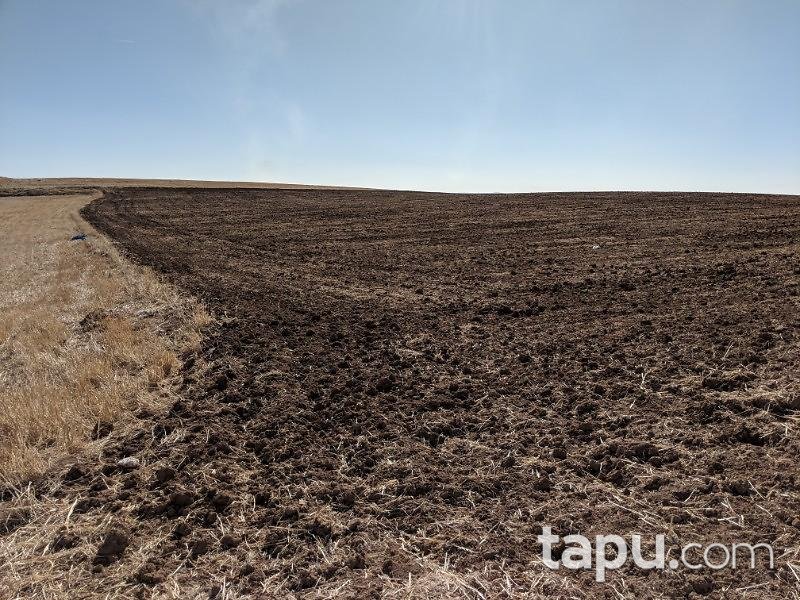 Çorum Uğurludağ Karakısık Köyünde 4 Adet 129.300 m2 Tarla