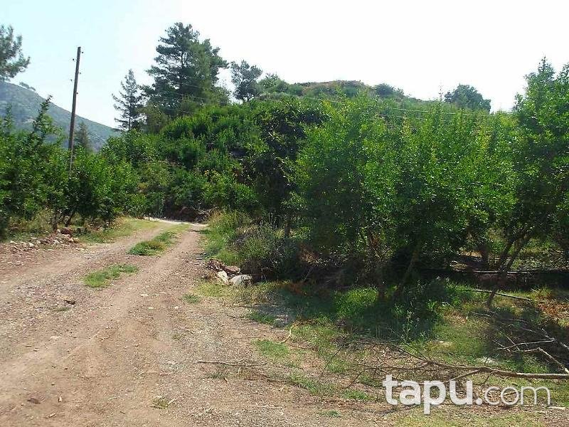 Antalya Kumluca Karacaören Köyünde 27211 m2 Bahçe