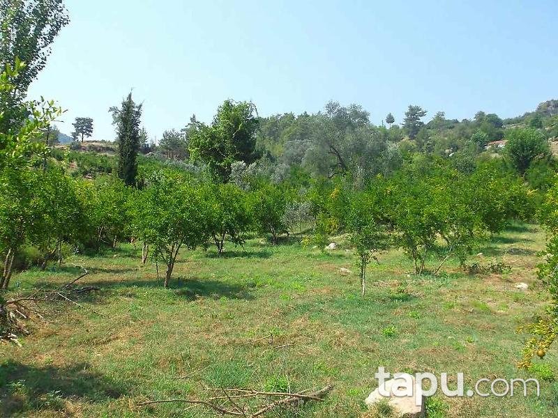 Antalya Kumluca Karacaören Köyünde 27211 m2 Bahçe