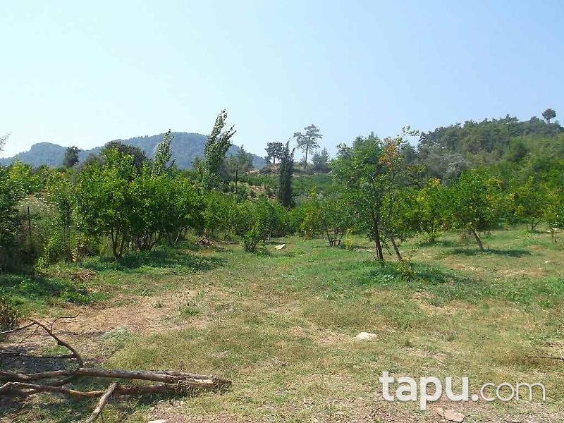 Antalya Kumluca Karacaören Köyünde 27211 m2 Bahçe