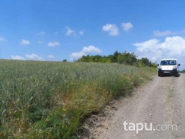 Edirne Meriç Küçükaltıağaç Köyünde 907 m2 Tarla