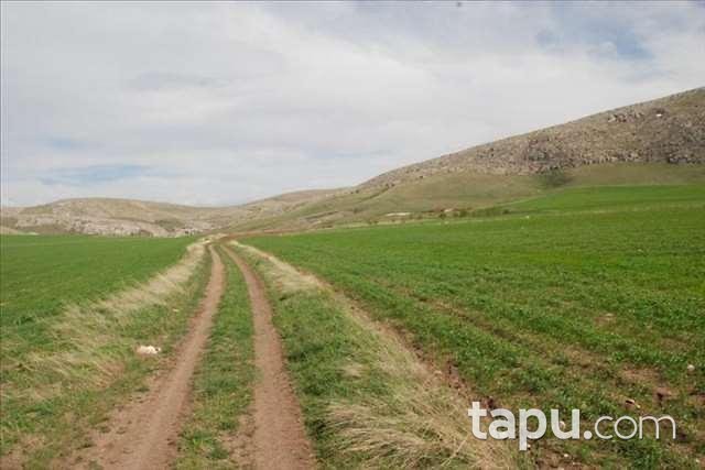 Sivas Kangal Avşar Ören Köyünde 18.034 m2 Tarla