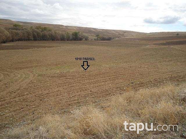 Yozgat Yerköy Sarıyaprak Köyünde 9.500 m2 Tarla