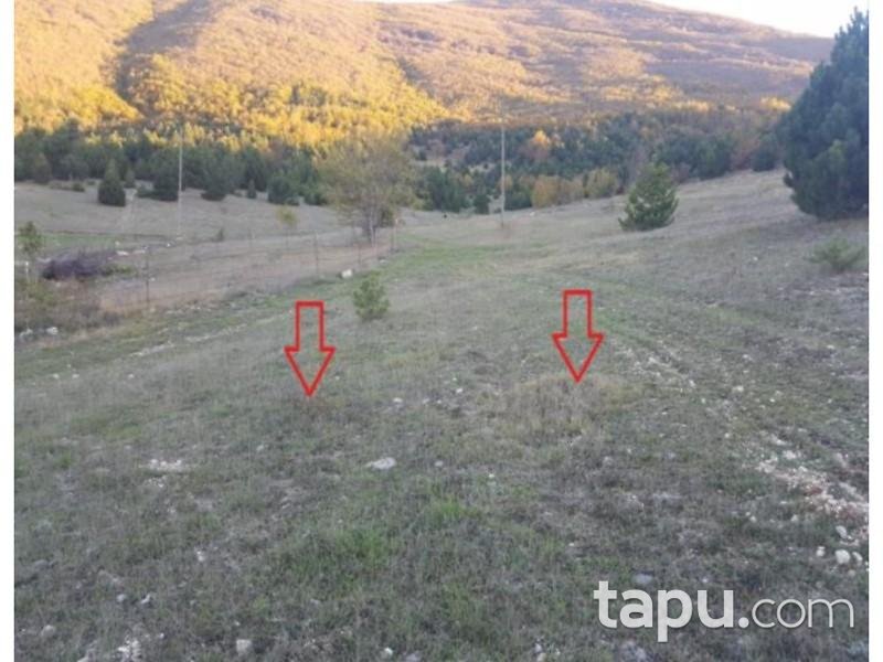 Samsun Ladik Akyar Mahallesinde 9.200 m2 Tarla