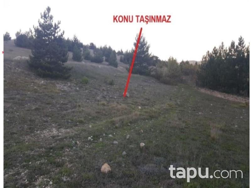 Samsun Ladik Akyar Mahallesinde 9.200 m2 Tarla