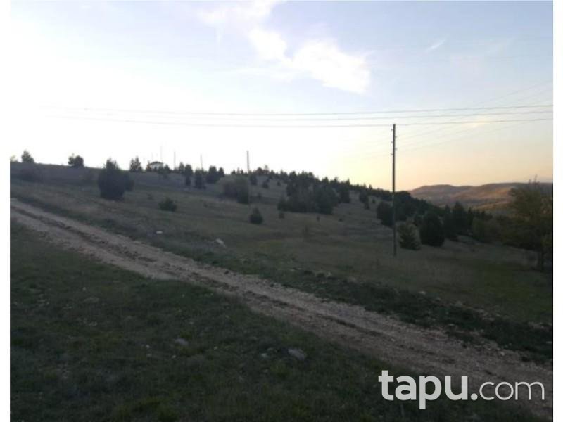 Samsun Ladik Akyar Mahallesinde 9.200 m2 Tarla