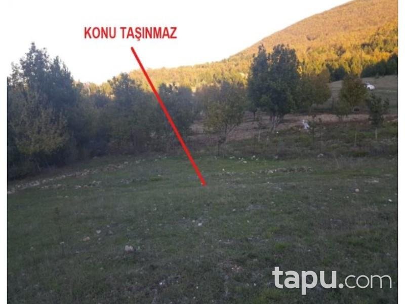 Samsun Ladik Akyar Mahallesinde 9.200 m2 Tarla