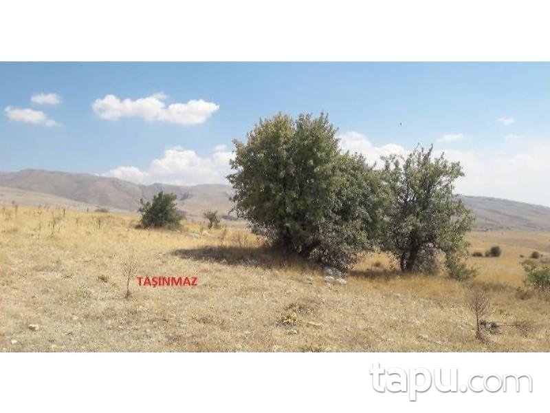 Isparta Yalvaç Çamharman Köyünde 12585 m2 Tarla