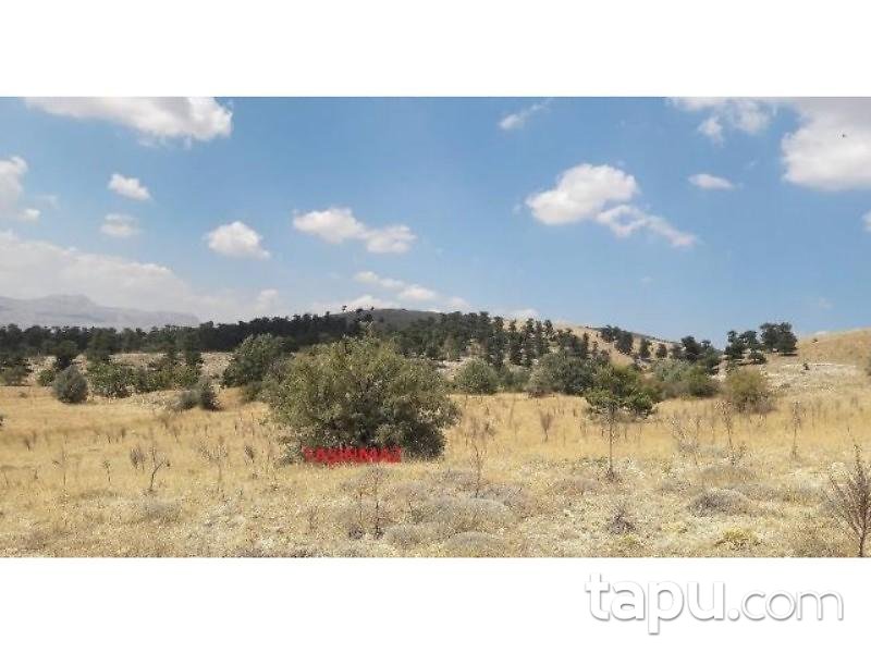 Isparta Yalvaç Çamharman Köyünde 12585 m2 Tarla