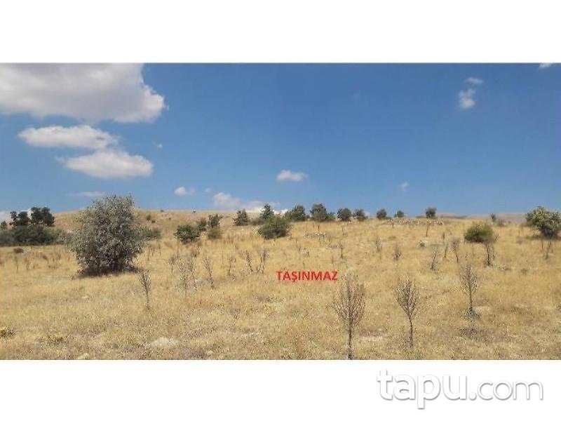 Isparta Yalvaç Çamharman Köyünde 12585 m2 Tarla