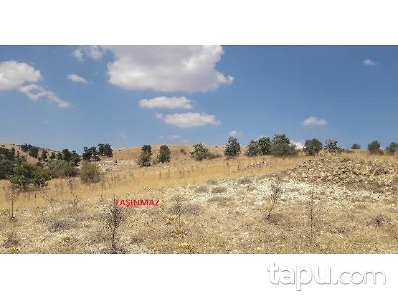 Isparta Yalvaç Çamharman Köyünde 12585 m2 Tarla