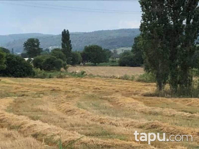 Çanakkale Gelibolu Sütlüce Köyünde 151 m2 Hisseli Arsa