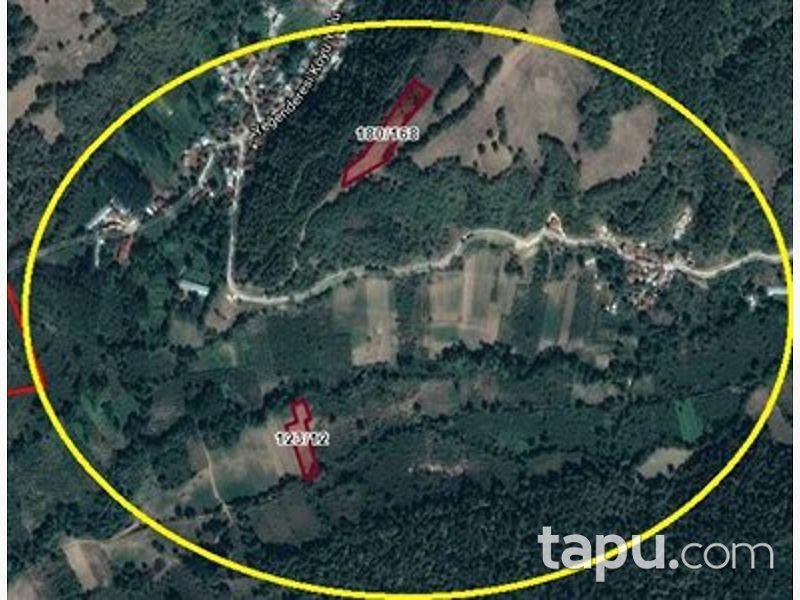Bolu Mudurnu Taşkesti Yeğenderesi Köyünde 2.455 m2 Tarla
