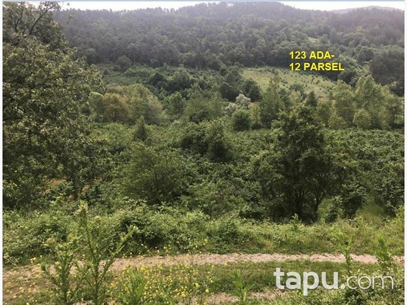 Bolu Mudurnu Taşkesti Yeğenderesi Köyünde 2.455 m2 Tarla