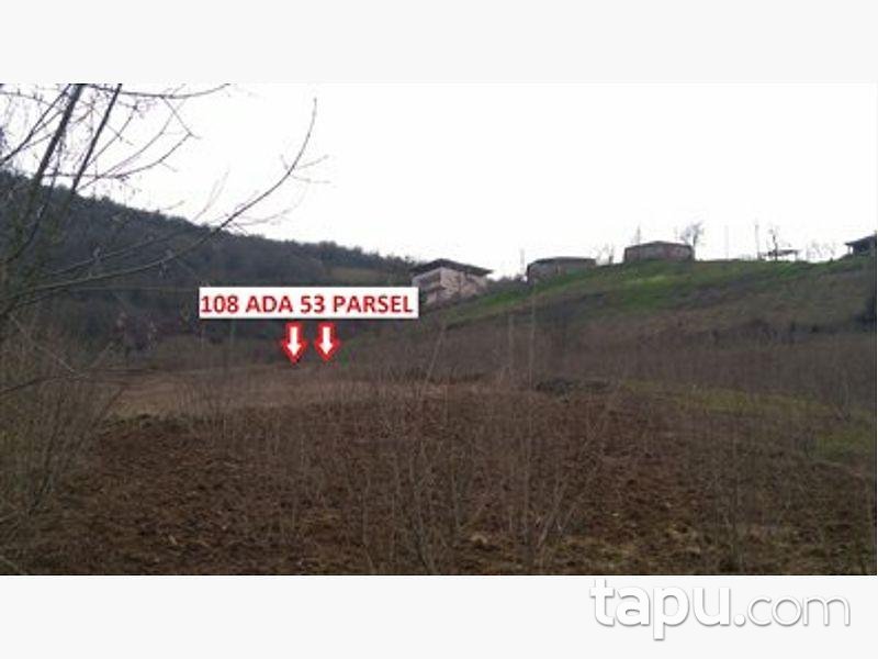 Samsun Çarşamba Konukluk Mahallesinde 787 m2 Tarla