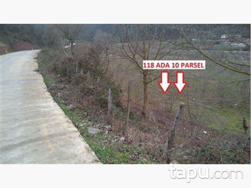 Samsun Çarşamba Konukluk Mahallesinde 1.422 m2 Tarla