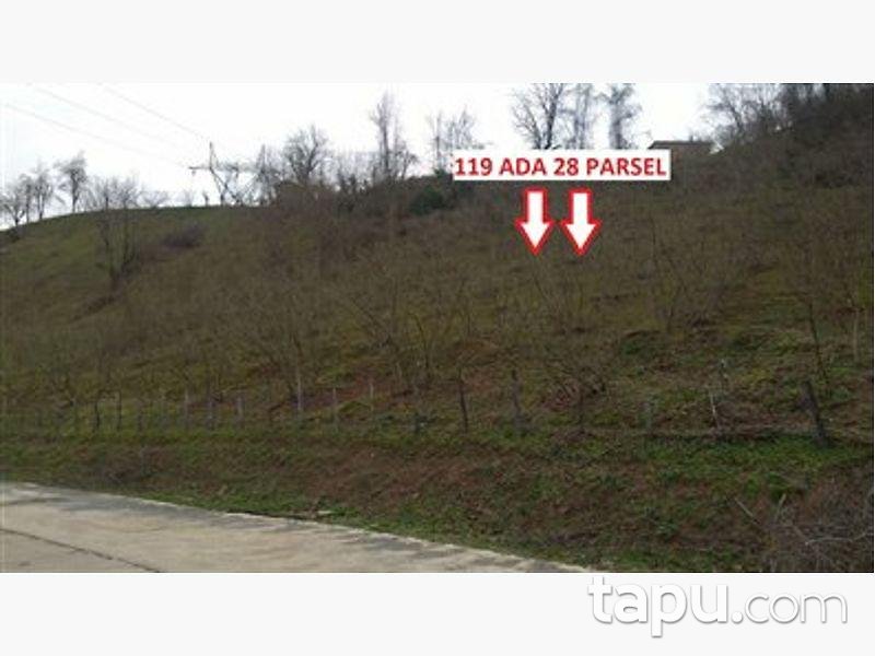 Samsun Çarşamba Konukluk Mahallesinde 2.216 m2 Tarla