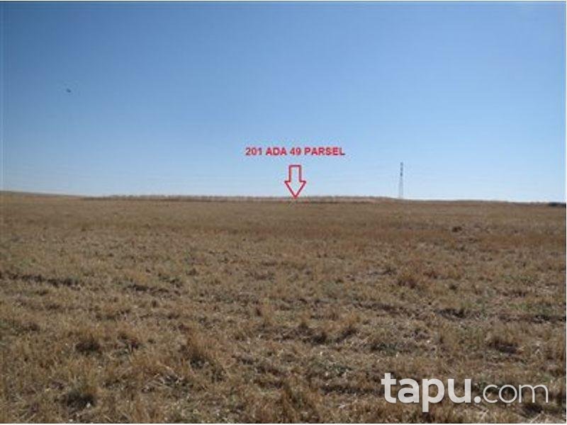 Nevşehir Merkez Çiftlik Köyünde 10127m2 Tarla