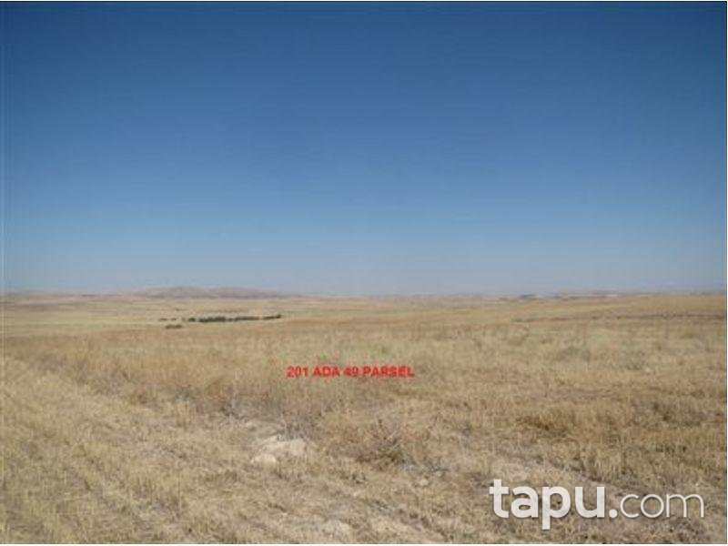 Nevşehir Merkez Çiftlik Köyünde 10127m2 Tarla