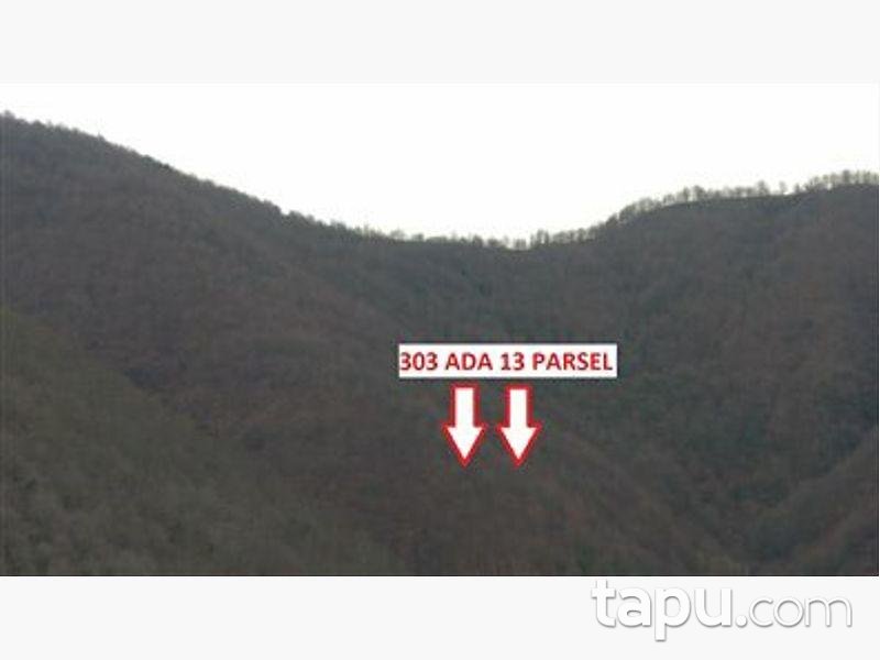 Samsun Çarşamba Konukluk Mahallesinde 1.417 m2 Tarla