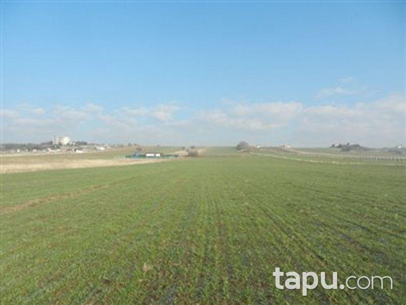 Ankara Akyurt Büğdüz-İmar Mahallesi'nde 890 m2 İmarlı Arsa