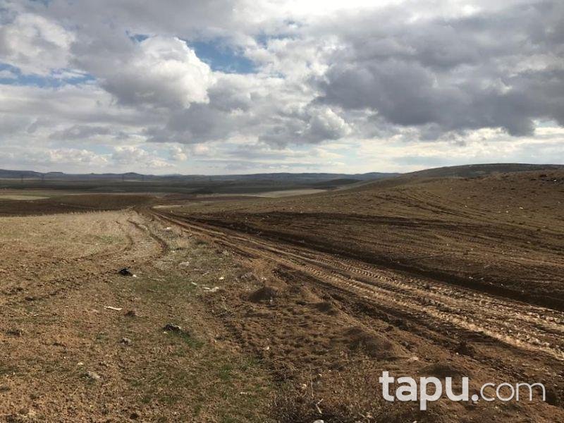Ankara Gölbaşı Karagedik Mahallesinde Hisseli Tarla