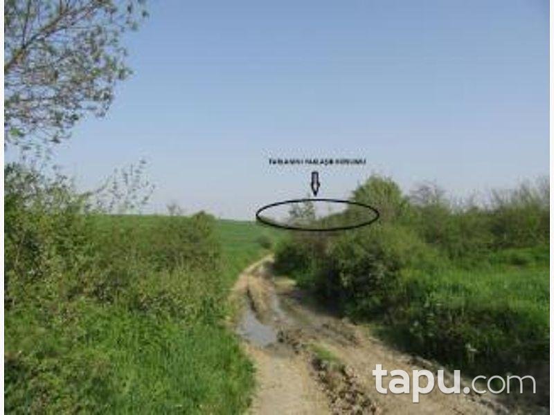 Edirne Meriç Küçükaltıağaç Köyünde 6950 m2 Tarla