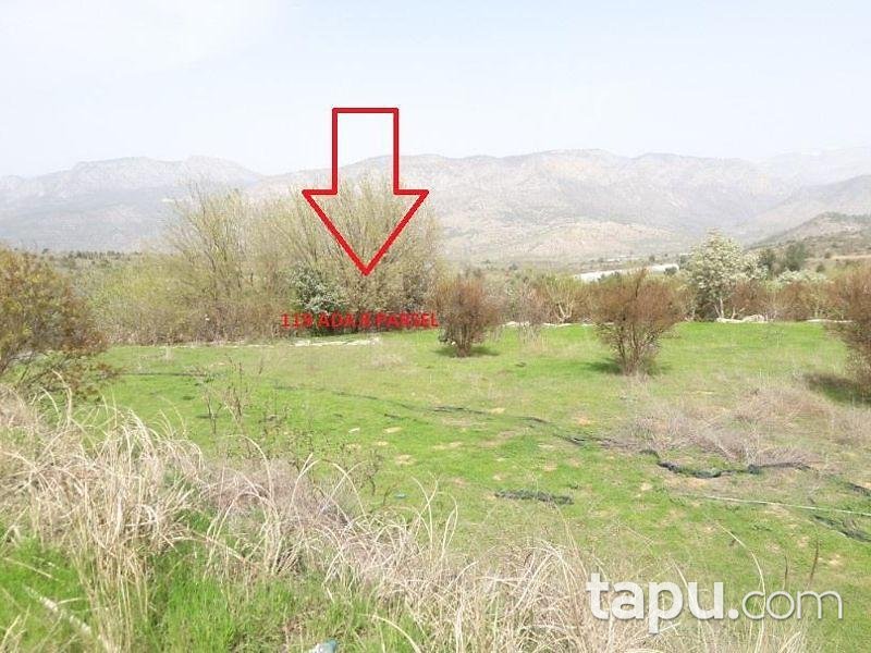 Bilecik İnhisar Samrı Köyünde Müstakil Ev ve Arsası