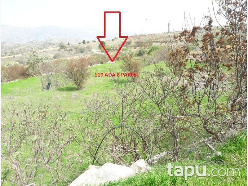 Bilecik İnhisar Samrı Köyünde Müstakil Ev ve Arsası