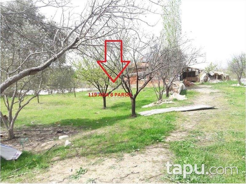 Bilecik İnhisar Samrı Köyünde Müstakil Ev ve Arsası