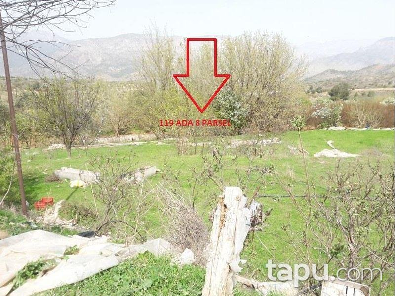 Bilecik İnhisar Samrı Köyünde Müstakil Ev ve Arsası