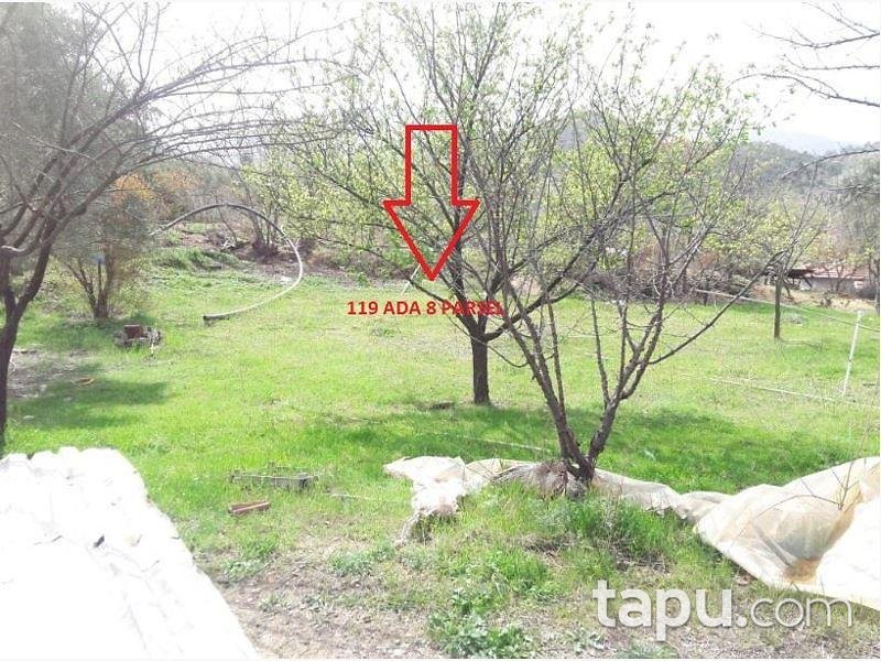 Bilecik İnhisar Samrı Köyünde Müstakil Ev ve Arsası