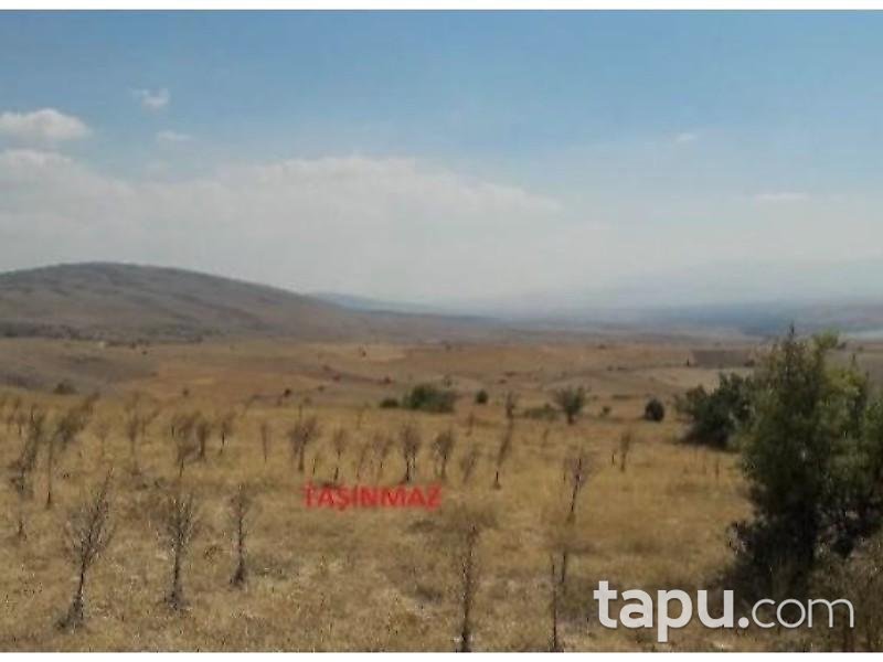 Isparta Yalvaç Çamharman Köyünde 12585 m2 Tarla