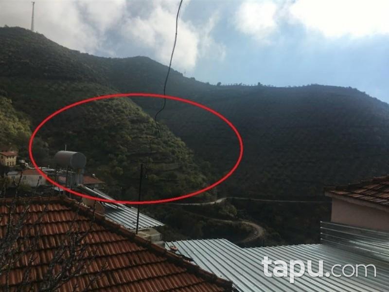 İzmir Tire Musalar Köyü Köyiçi Mevkiinde 7568 m2 Tarla