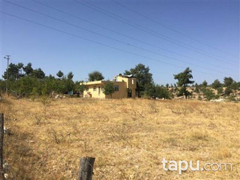 Mersin Gülnar Sarıkavak Köyünde Kargir ve Elma Bahçesi