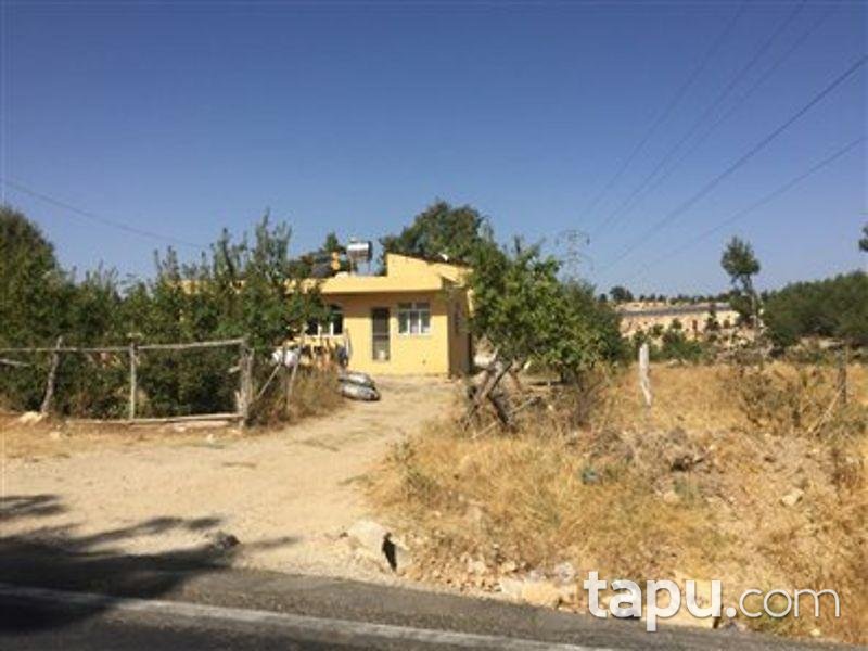 Mersin Gülnar Sarıkavak Köyünde Kargir ve Elma Bahçesi