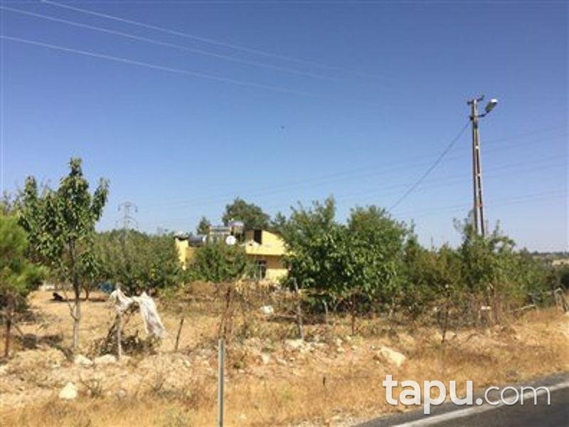 Mersin Gülnar Sarıkavak Köyünde Kargir ve Elma Bahçesi