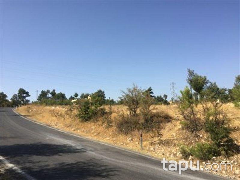 Mersin Gülnar Sarıkavak Köyünde Kargir ve Elma Bahçesi