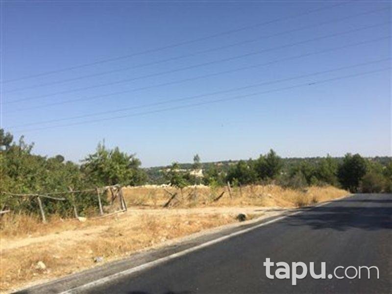 Mersin Gülnar Sarıkavak Köyünde Kargir ve Elma Bahçesi