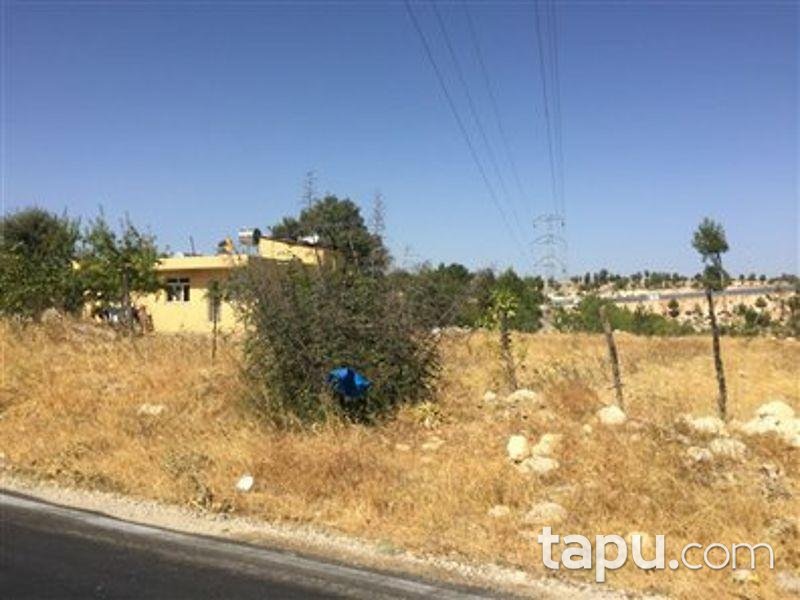 Mersin Gülnar Sarıkavak Köyünde Kargir ve Elma Bahçesi