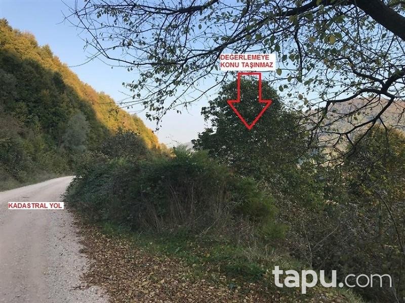 Sakarya Hendek Karadere Köyünde 3120 m2 Tarla
