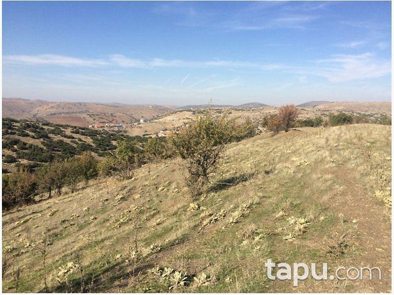 Manisa Kula Gökçeöre/Dere Mahallesinde 22.146m2 Tarla