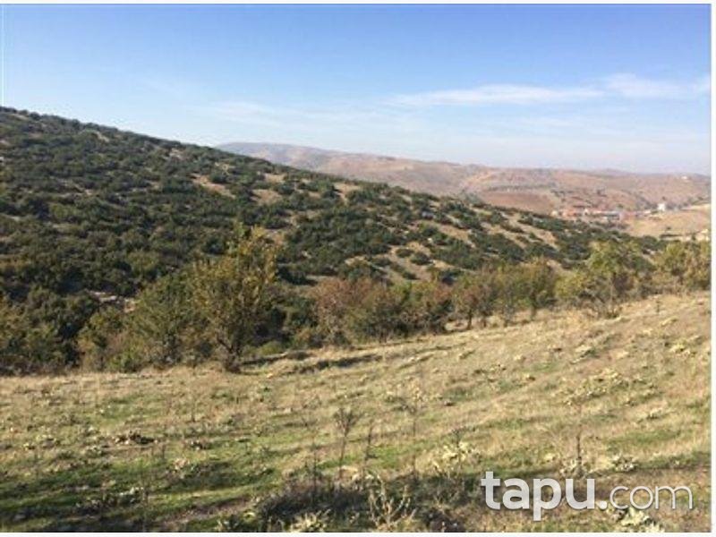 Manisa Kula Gökçeöre/Dere Mahallesinde 22.146m2 Tarla