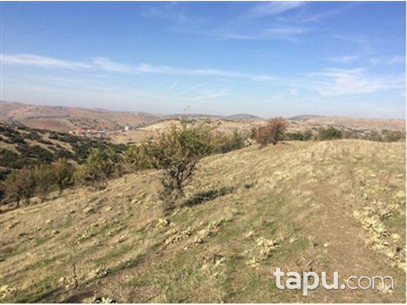 Manisa Kula Gökçeöre/Dere Mahallesinde 22.146m2 Tarla