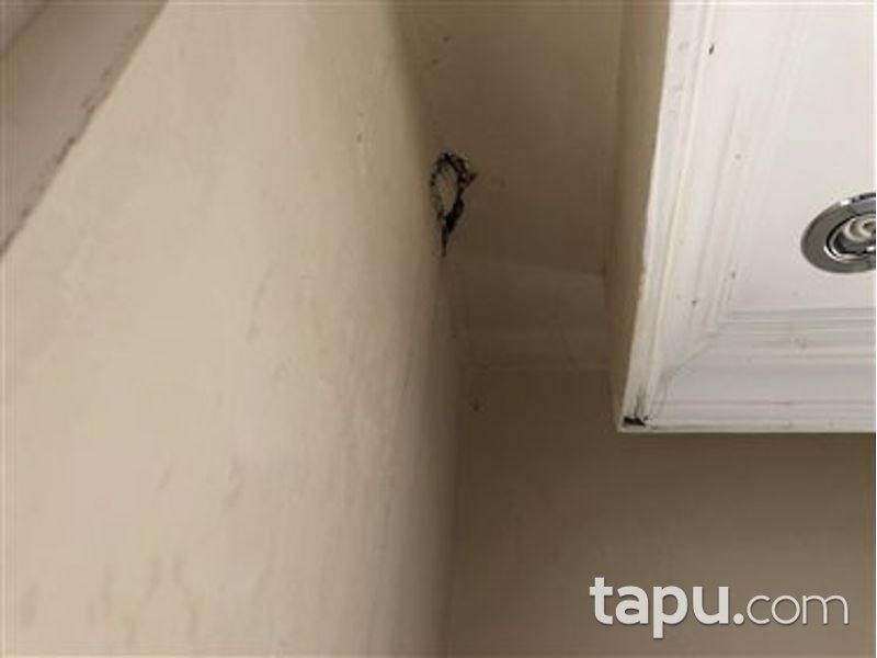 Alanya Cikcikli Dubleks Mesken