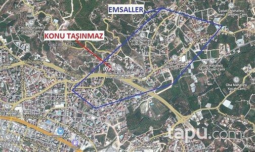 Alanya Cikcikli Dubleks Mesken