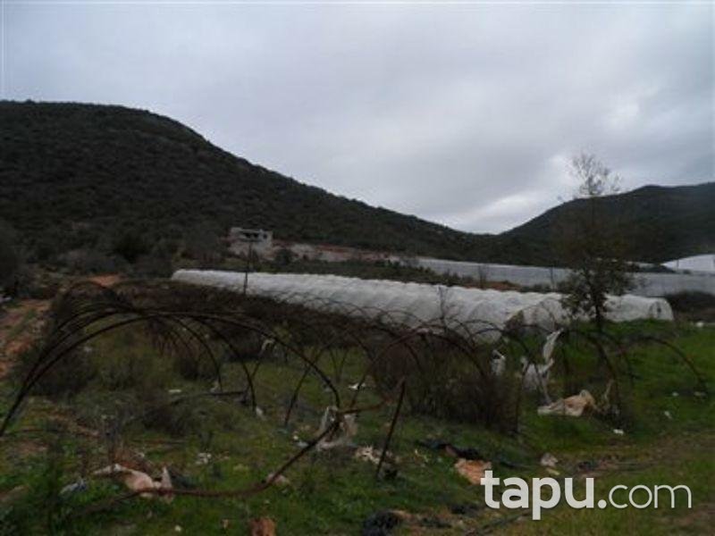 Antalya Gazipaşa Muzkent Mahallesinde Tarla