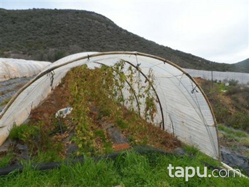 Antalya Gazipaşa Muzkent Mahallesinde Tarla