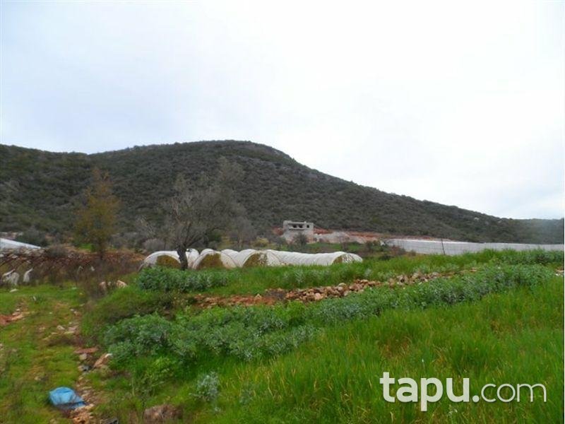 Antalya Gazipaşa Muzkent Mahallesinde Tarla