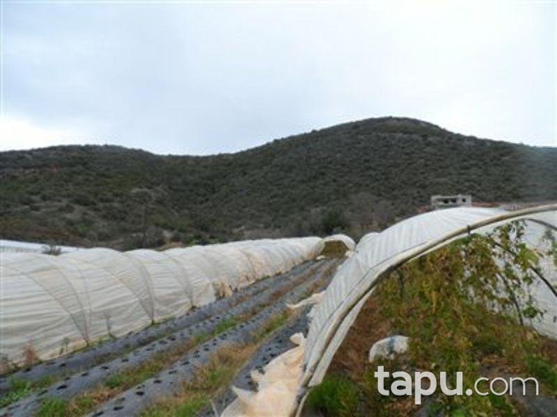 Antalya Gazipaşa Muzkent Mahallesinde Tarla